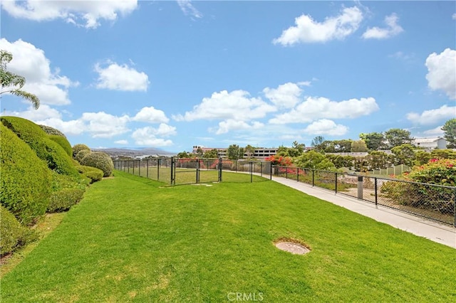 view of yard featuring a rural view