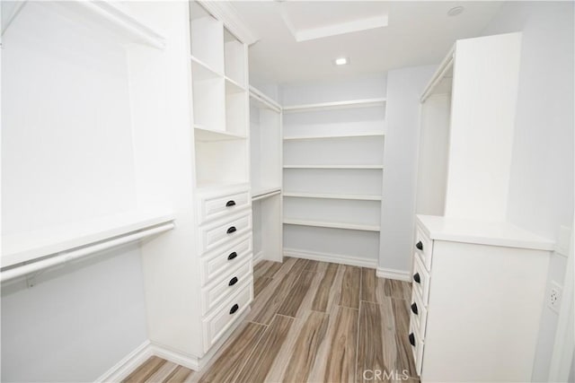 spacious closet with light hardwood / wood-style floors