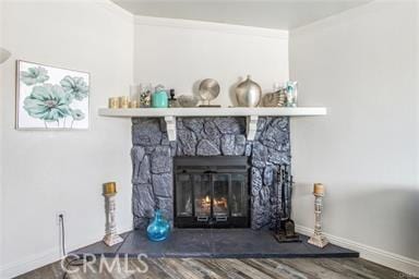 room details with wood-type flooring and a stone fireplace