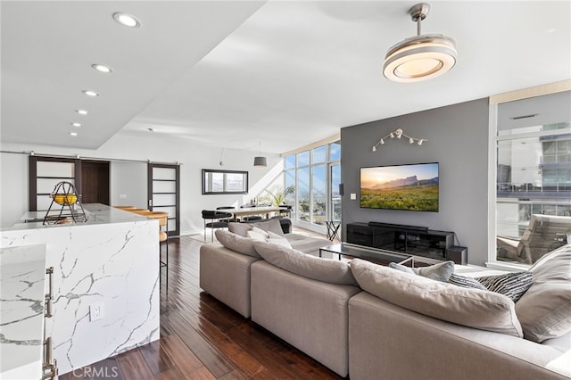 living room with dark wood-type flooring