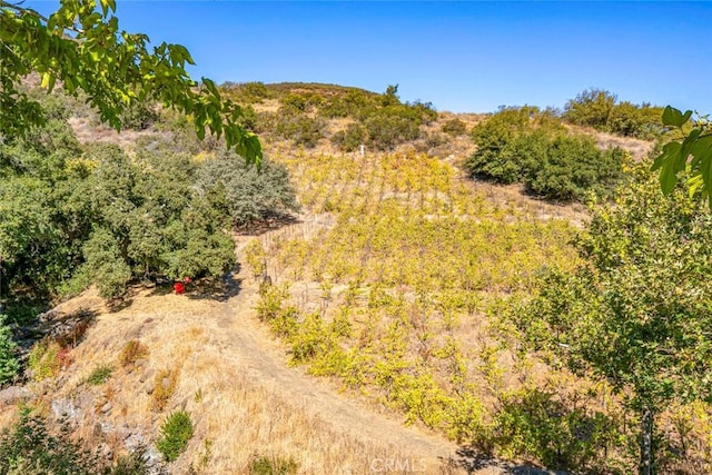 42305 Via Nortada, Temecula, CA 92590 - photo 56