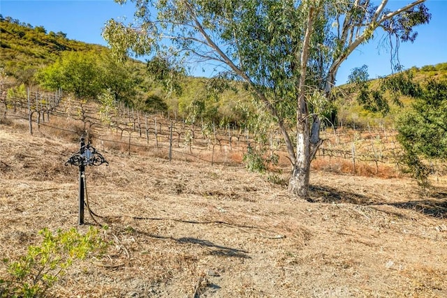 view of local wilderness with a rural view