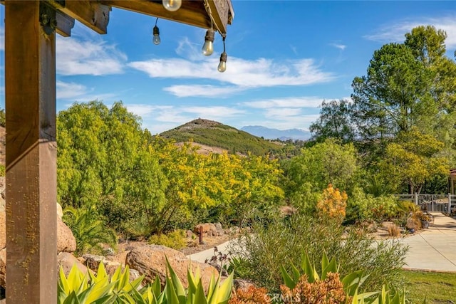 42305 Via Nortada, Temecula, CA 92590 - photo 51