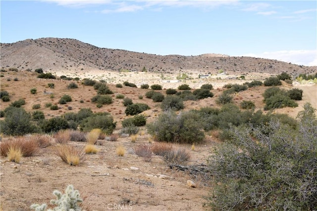 Listing photo 2 for 0 Tumbleweed Trl, Pioneertown CA 92268