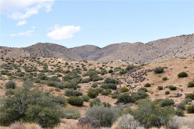 Listing photo 3 for 0 Tumbleweed Trl, Pioneertown CA 92268