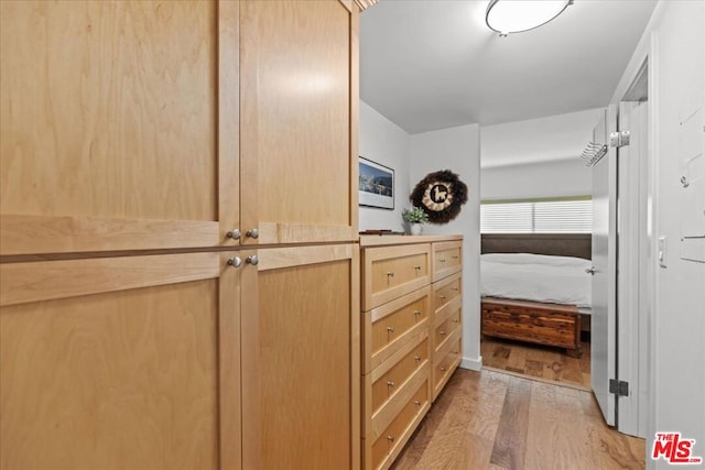 walk in closet featuring light hardwood / wood-style floors