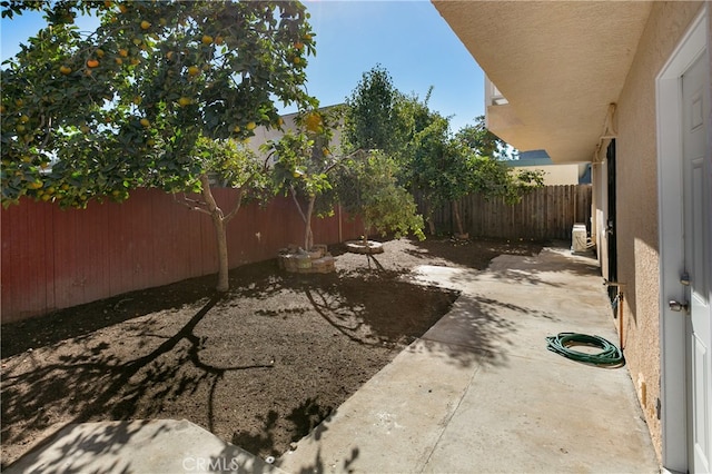 view of yard featuring a patio