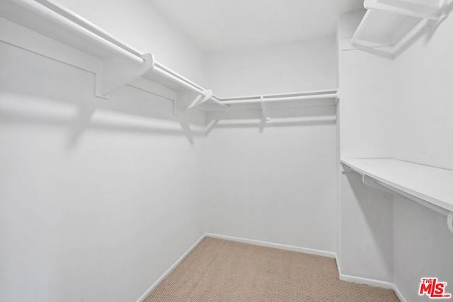 walk in closet featuring light carpet