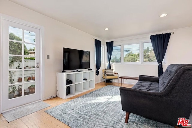 living room with light wood-type flooring