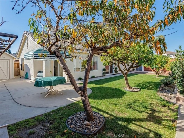 view of yard featuring a patio area