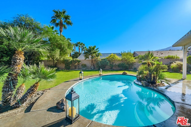 view of pool with a yard