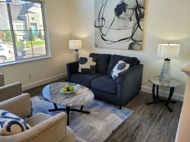 living room featuring dark hardwood / wood-style flooring