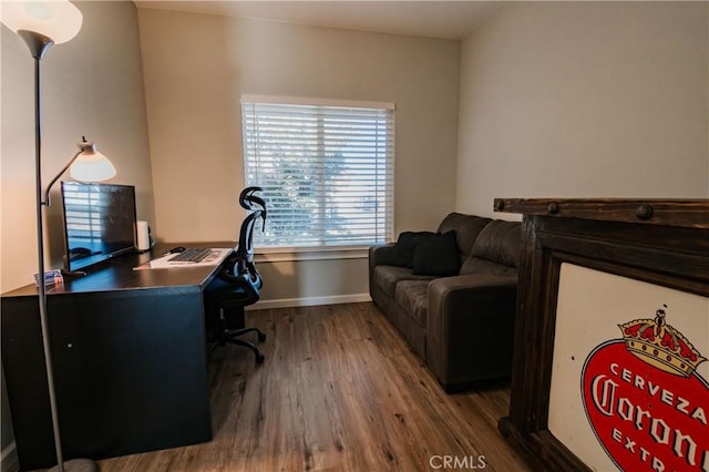 office area featuring hardwood / wood-style floors