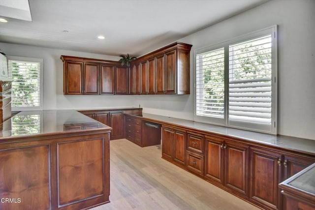 kitchen featuring light hardwood / wood-style floors and a wealth of natural light