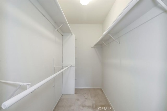 walk in closet featuring light colored carpet