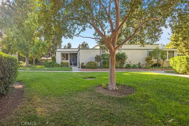 ranch-style house featuring a front lawn