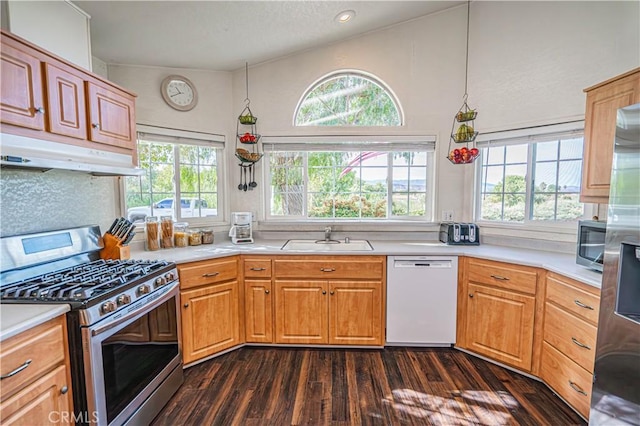 kitchen with dark hardwood / wood-style flooring, sink, stainless steel appliances, and high vaulted ceiling