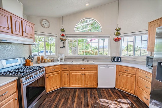 kitchen with stainless steel appliances, a healthy amount of sunlight, under cabinet range hood, and a sink