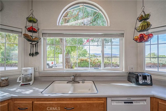 kitchen featuring a healthy amount of sunlight, white dishwasher, and a sink