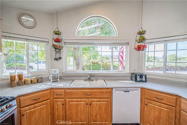 kitchen featuring stainless steel range, dishwasher, and sink