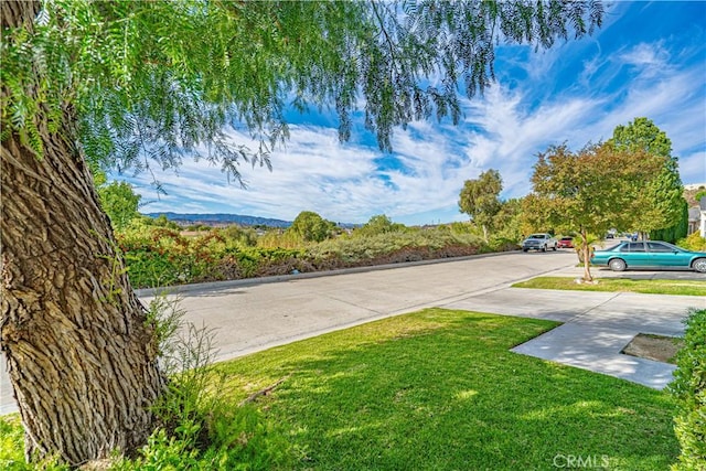 view of yard with concrete driveway