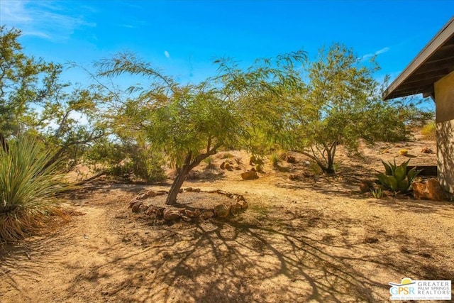 view of local wilderness