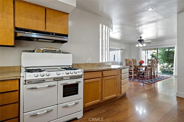 kitchen with hardwood / wood-style floors, white gas range oven, ceiling fan, and range hood