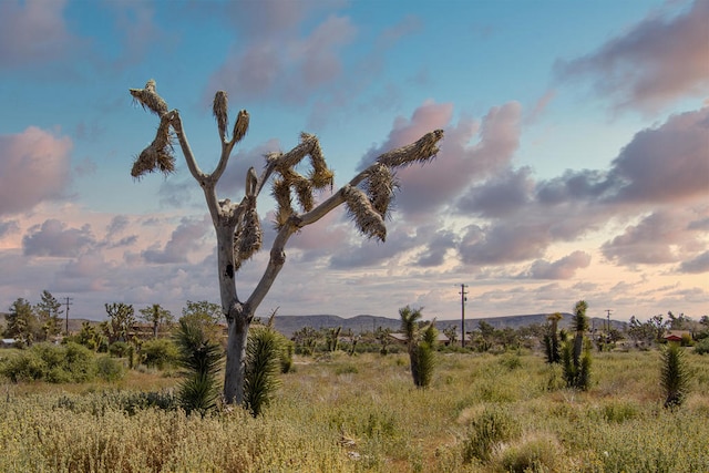 129 Annie Oakley, Pioneertown CA, 92268 land for sale