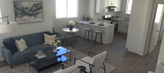 living room featuring a healthy amount of sunlight and light hardwood / wood-style floors