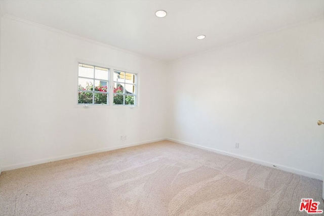 empty room featuring carpet and crown molding