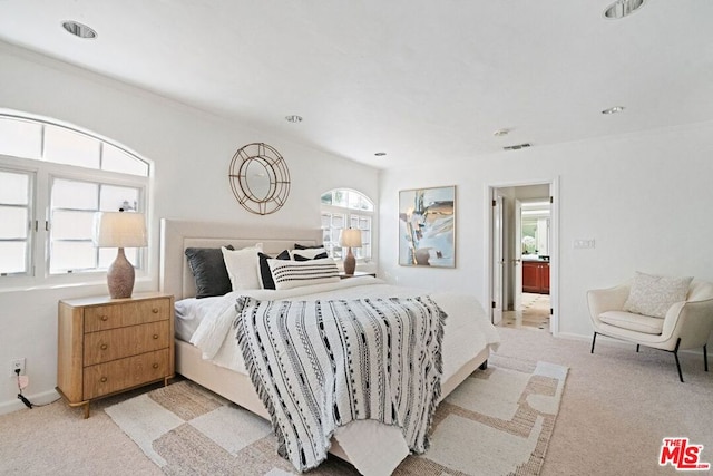 carpeted bedroom with multiple windows