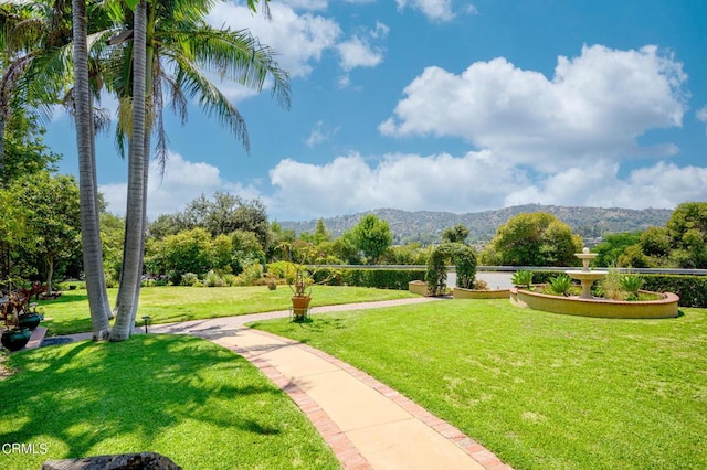 view of community featuring a mountain view and a lawn