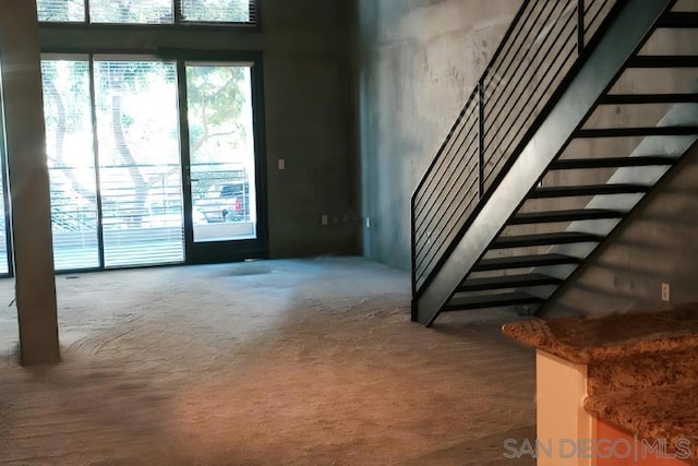 interior space with carpet floors