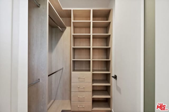 view of walk in closet