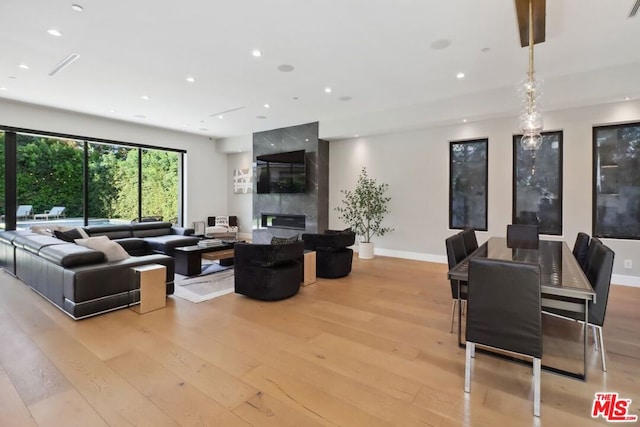 living room featuring a fireplace and light wood-type flooring