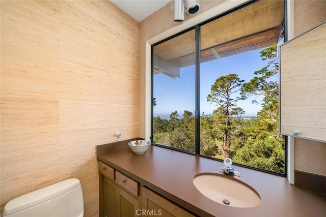 bathroom with vanity and toilet