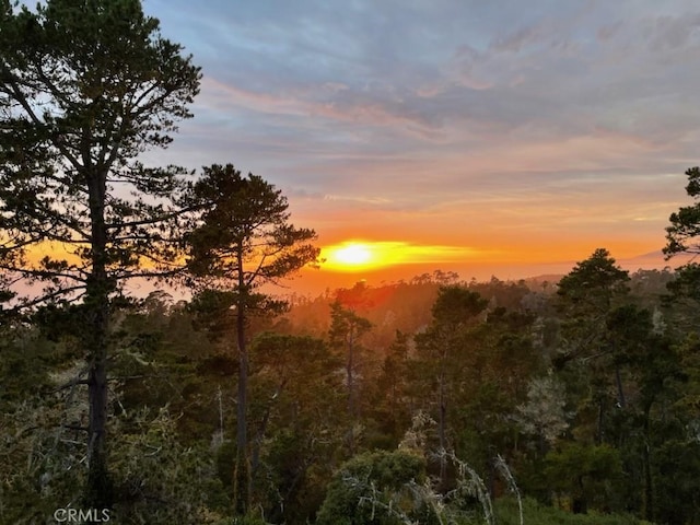 view of nature at dusk