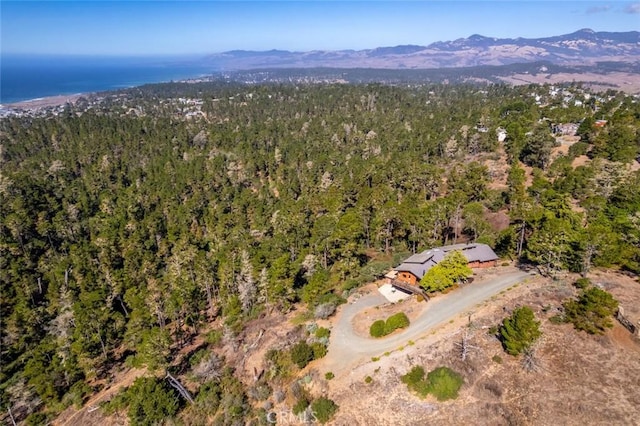 aerial view featuring a mountain view