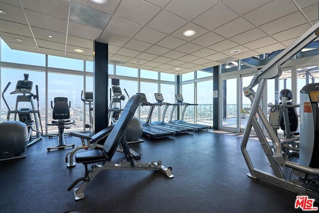 exercise room featuring a drop ceiling and expansive windows