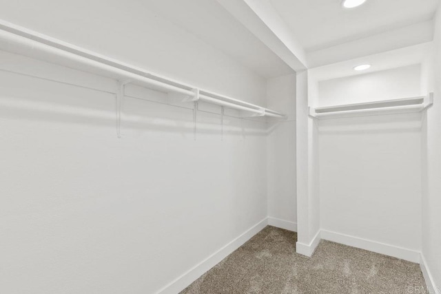 walk in closet with carpet