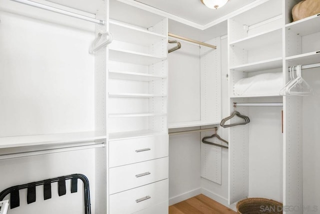 spacious closet with light hardwood / wood-style flooring