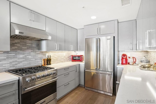 kitchen featuring exhaust hood, stainless steel appliances, decorative backsplash, gray cabinetry, and light wood-type flooring