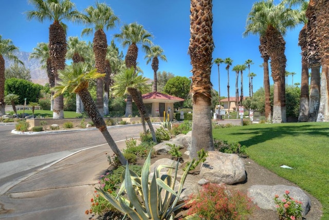 view of front of property with a front lawn