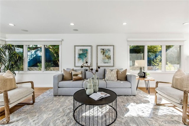 living room with light wood-type flooring and a healthy amount of sunlight