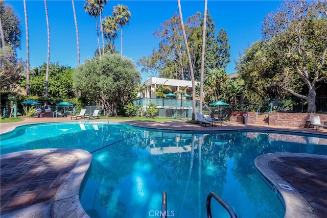 view of swimming pool featuring a patio