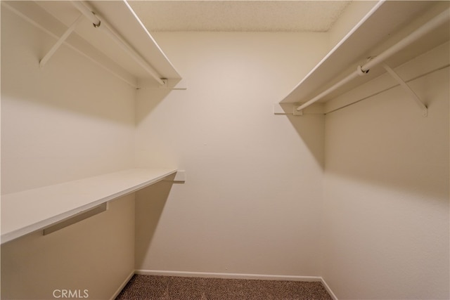 spacious closet with carpet flooring