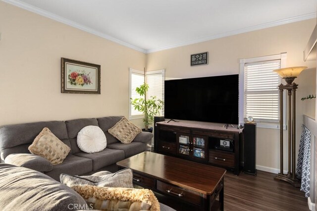 living room featuring dark hardwood / wood-style floors and ornamental molding