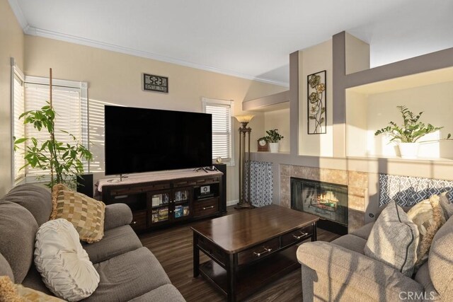 living room featuring a fireplace, crown molding, and dark wood-type flooring