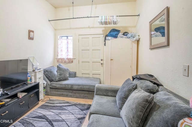 living room with wood-type flooring