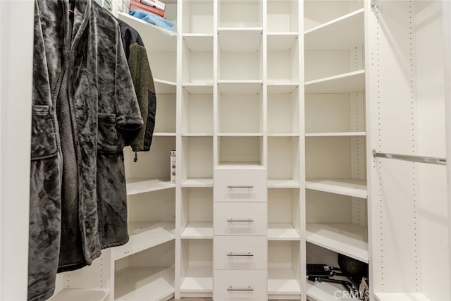 view of spacious closet